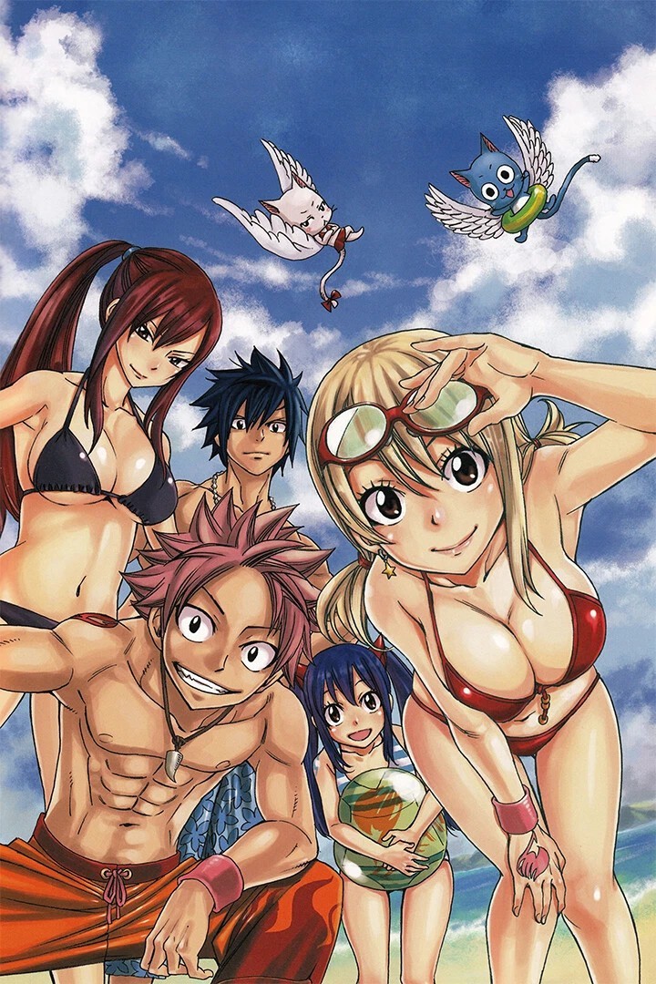 Fairy Tail Characters Anime Poster print 11"x17" inches home decor gallery