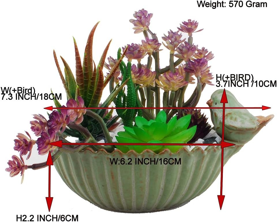 Special Design Fun Garden 6INCH Flower Planter Succulent Pot Indoor gallery