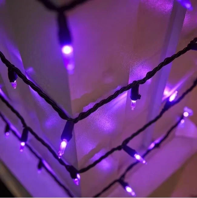 Home Accent Holidays 100 Purple LED Mini STRING LIGHTS Halloween gallery