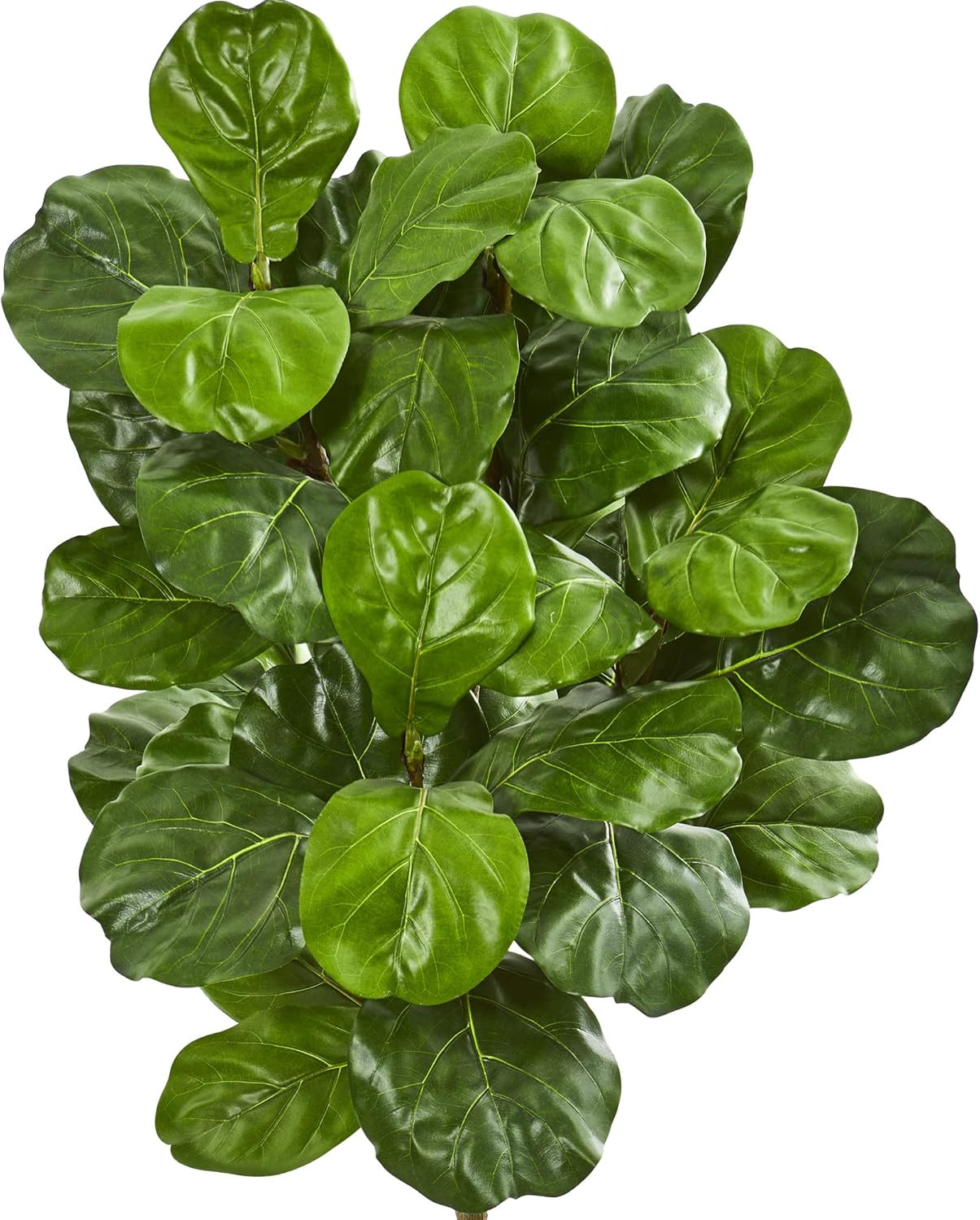 5Ft. Fiddle Leaf Artificial Tree in Stylish Decorative Planter gallery