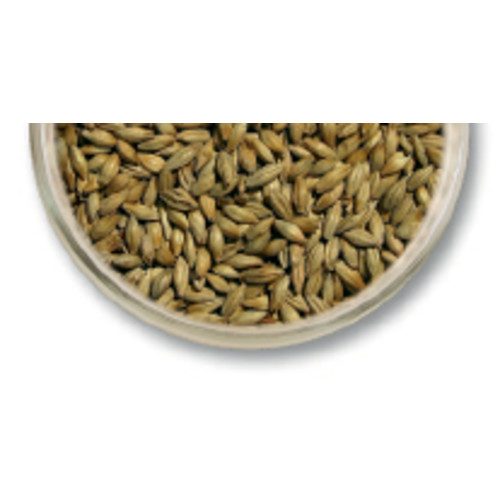 55 Lb 2-Row Xtra Pale Malt - Base Malt Viking - Homebrew Beer Grain 1.7 - 1.9 °L gallery