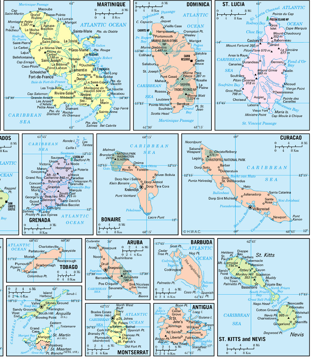 Gulf, Caribbean & Atlantic Coast Regions Wall Map Poster 36x24 Laminated gallery