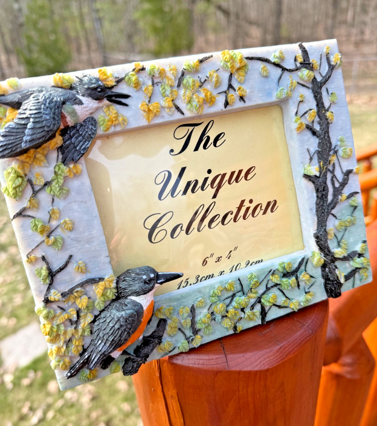 The Unique Collection King Fischer BIRDS 3D 3.5 x 5" Photo Picture Frame Resin gallery
