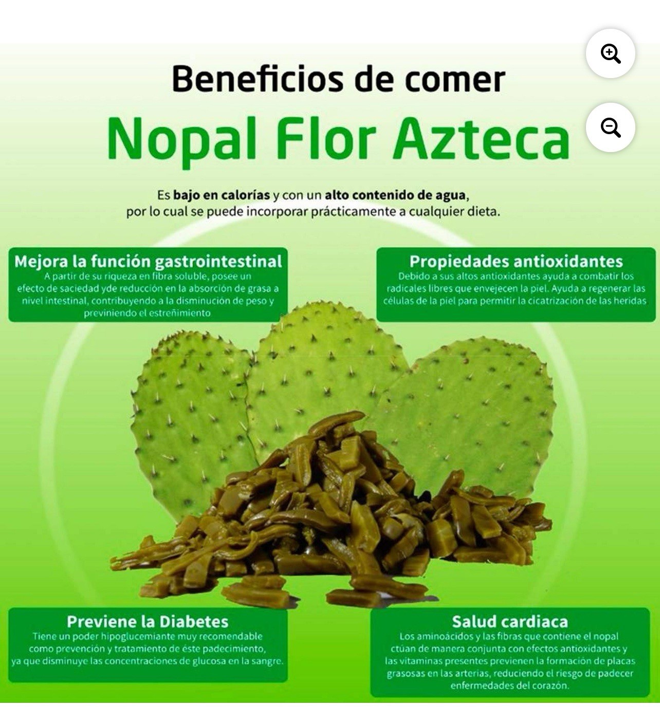 Flor Azteca Nopales Tender Cactus Slices 29oz – Authentic Mexican Food gallery