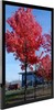 11x14 Picture Frame Black Poster Frame 14x11 Picture Frame Black Wall Mounting gallery