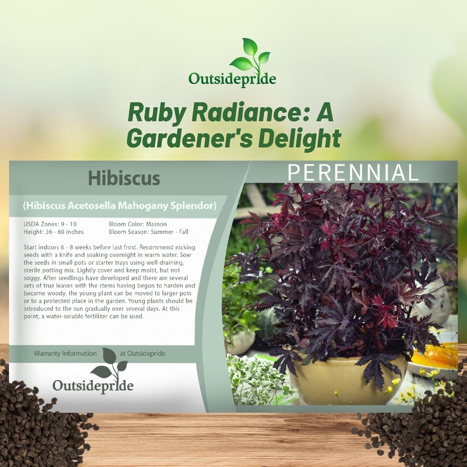 20 Seeds Drought Tolerant Hibiscus Mahogany Splendor Garden Flower Plant Seed gallery