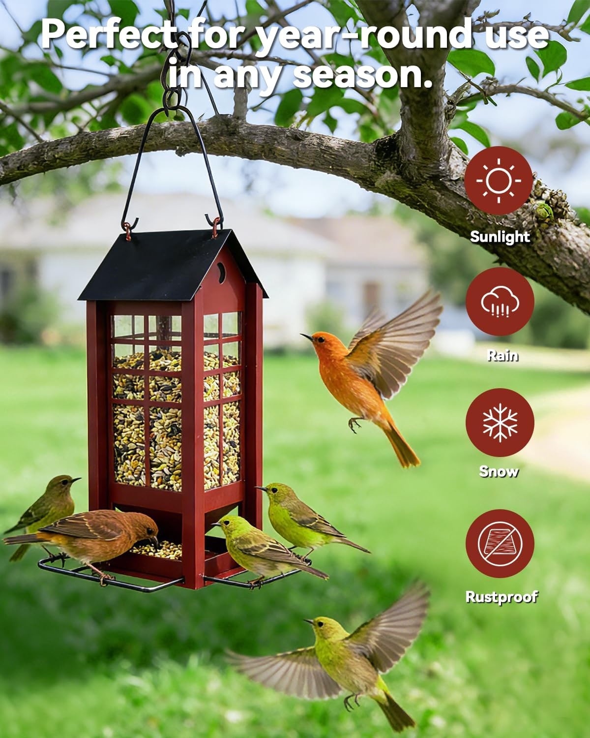 Hanging Bird Feeder Outdoors Metal Bird Seed Feeder W/ Roof Large Capacity Wild gallery