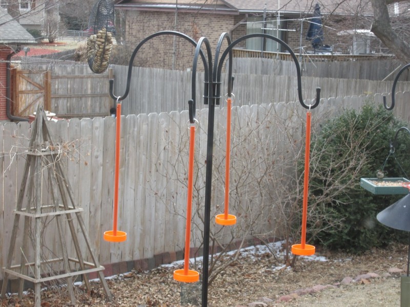 Robin Proof Oriole Feeder.......almost.....read description gallery