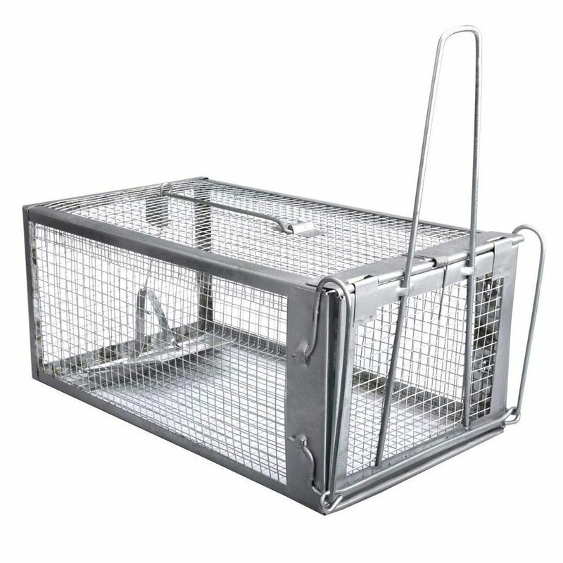 2Pcs Live Humane Cage Trap for Squirrel Chipmunk Rat Mice Rodent Animal Catcher gallery