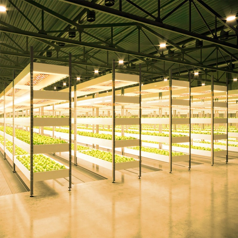 LED Plant Grow Light with Timer 2 Lights LED Grow Light Full Spectrum for Indoor gallery