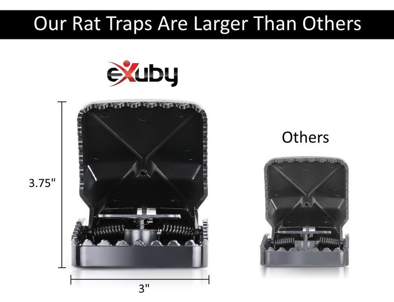Large Powerful Rat Traps (12 Pack) - Kills Instantly with Powerful Steel Spring gallery