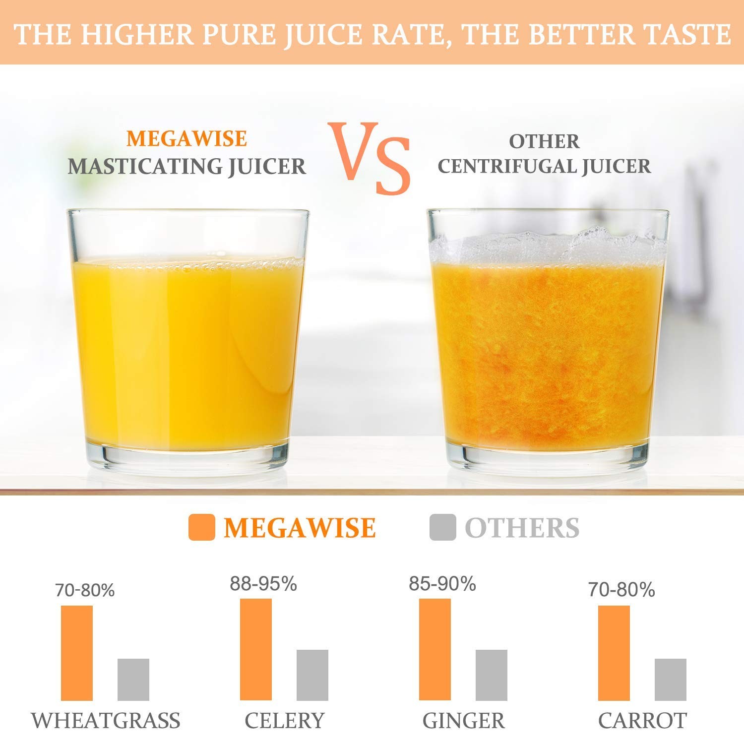 Megawise Pro 2025 Updated Slow Masticating Juicer 95 Juice Yield 2-Speed gallery