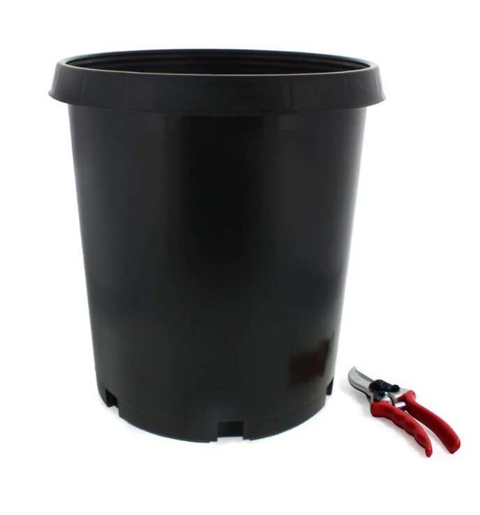 5-Gallon High Quality Injection Molded Nursery Container Pot Plastic Black gallery