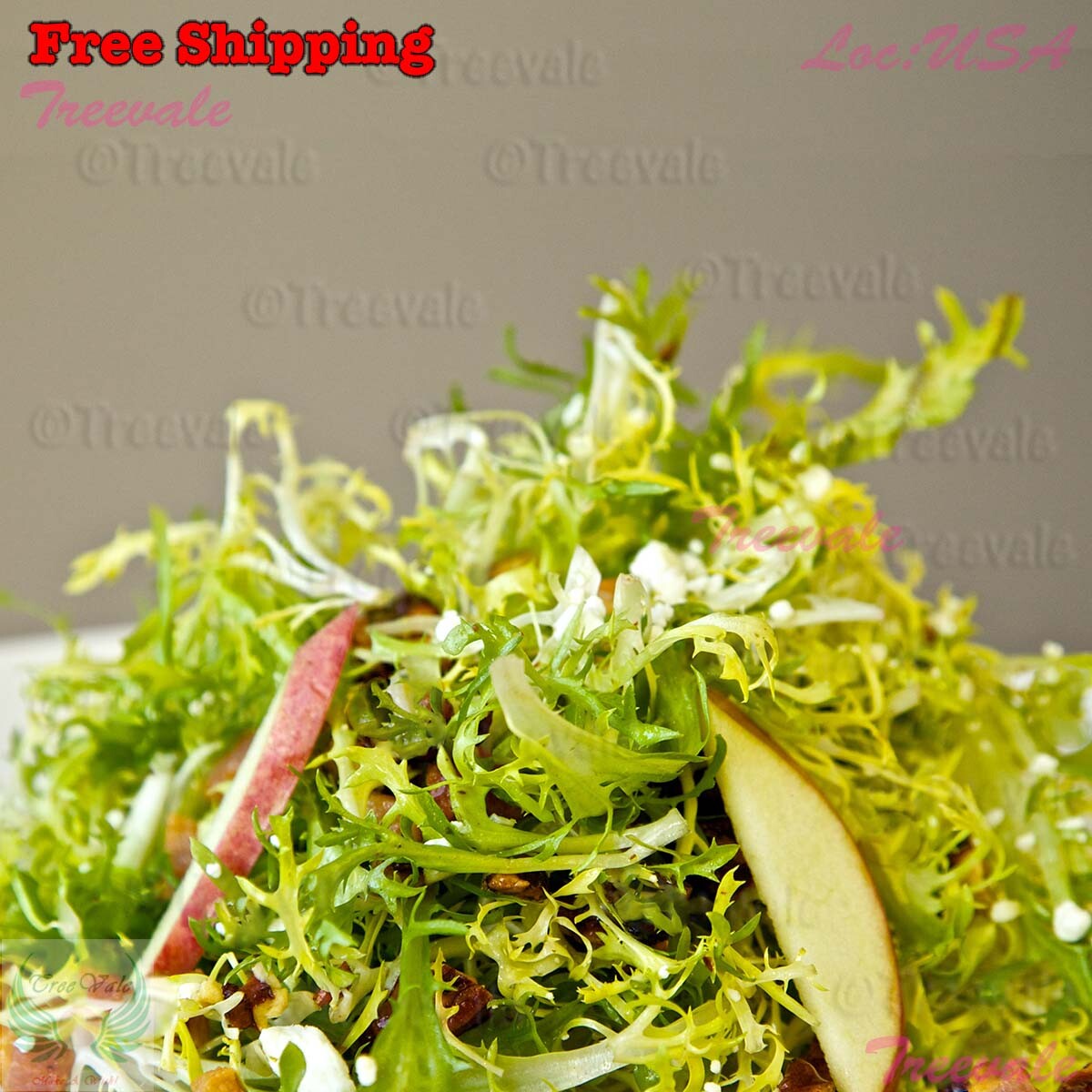 Frisee Endive Seeds - Cichorium Endivia - Green Curled Ruffec | Vegetable Seeds gallery