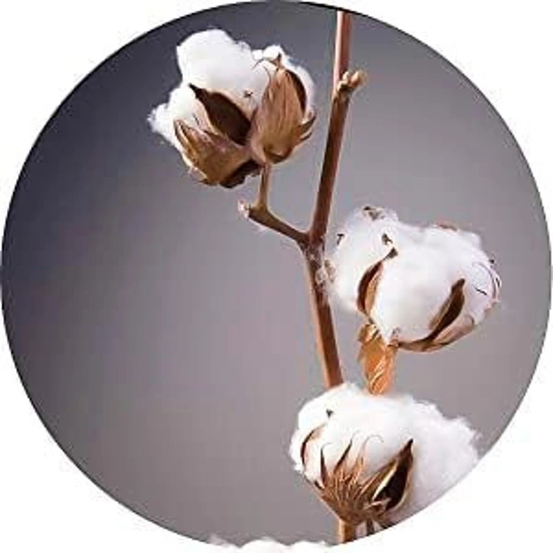 Single Drawstring Organic Cotton Muslin Bags - Premium Quality - Natural Color gallery