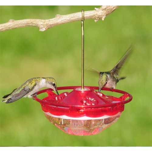Aspects HummZinger HummBlossom Nectar Bird Feeder — 3 Feeding Ports — 4oz Cap gallery