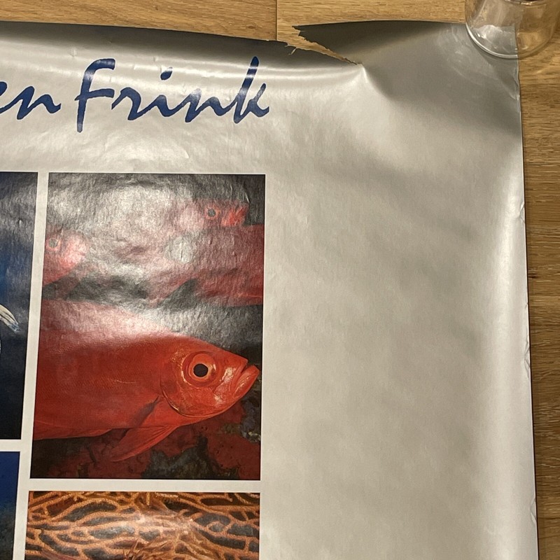 Signed Stephen Frink Underwater Nikon Photography Poster 1990 Vintage 36" x 24" gallery