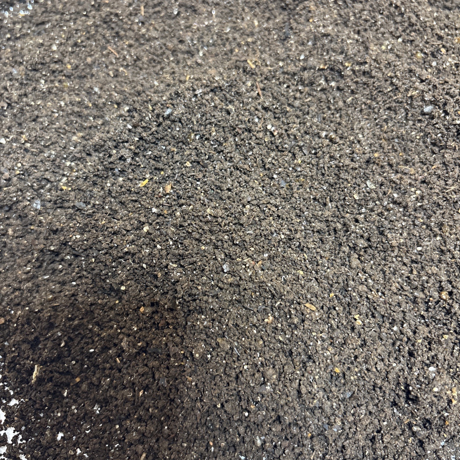 Worm Castings gallery