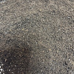Worm Castings