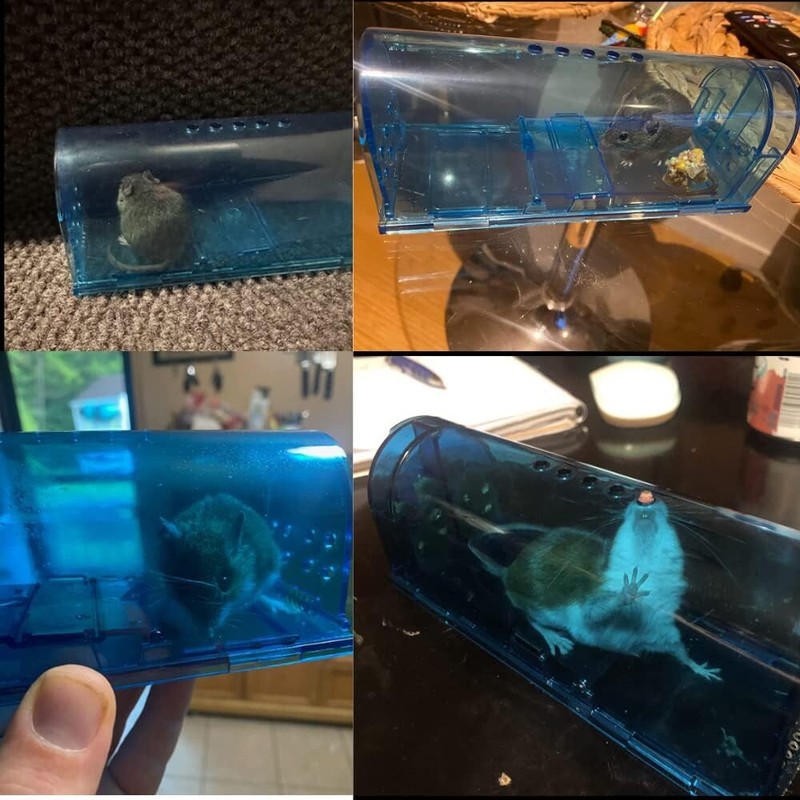 Humane Mouse Trap | Catch and Release Mouse Traps That Rat | Mice Trap No Kill gallery