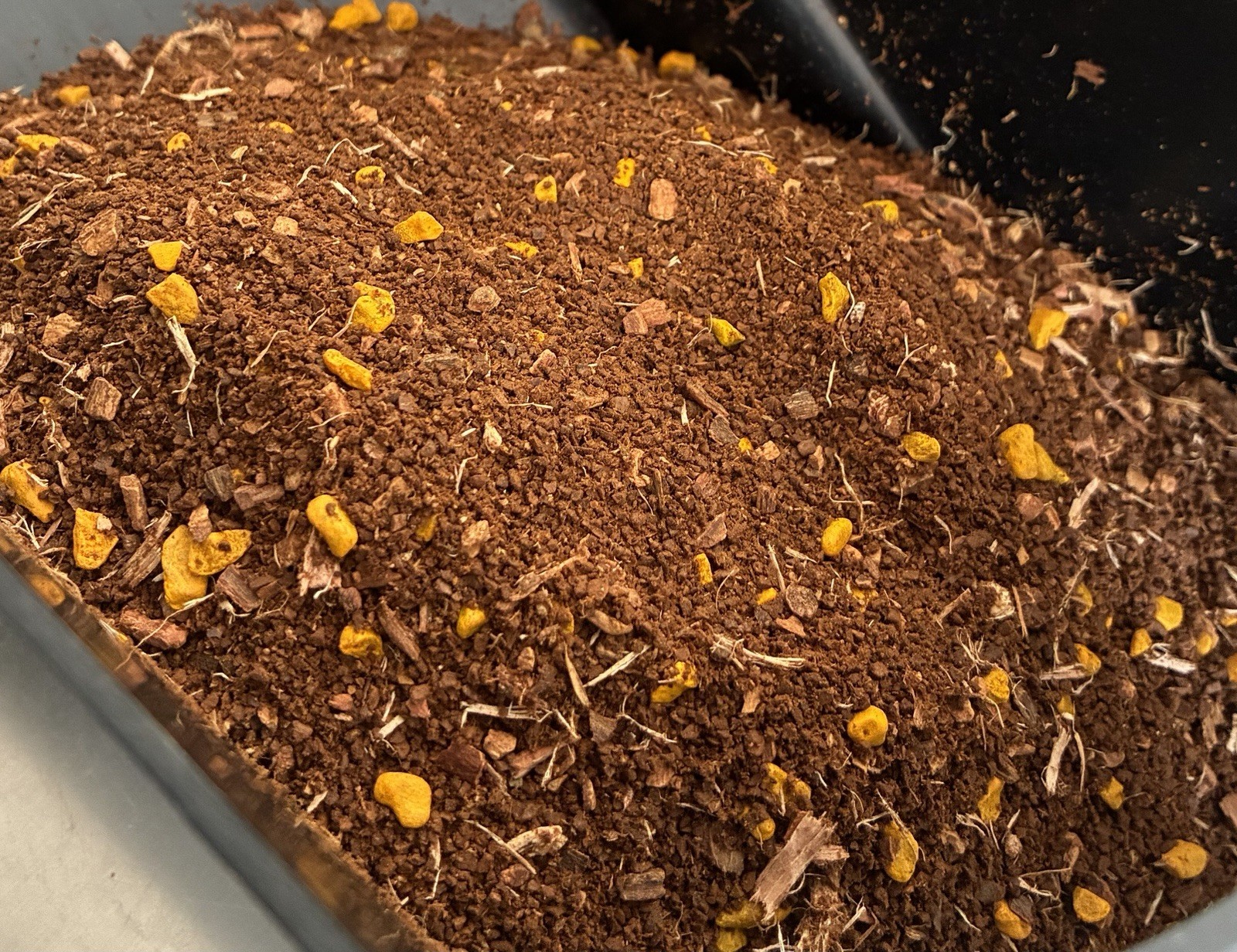 Anti inflammatory Organic Tea gallery