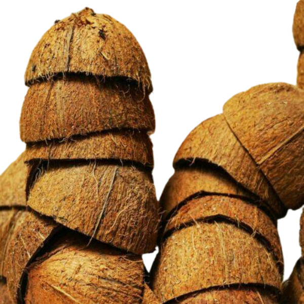 Eco-friendly 100% natural 1/2 shell less than half a coconut shell gallery