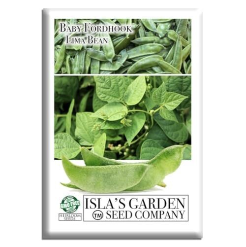 Baby Fordhook Lima Bean Seeds (Bush Lima, Phaseolus lunatus) – 25 Non GMO gallery