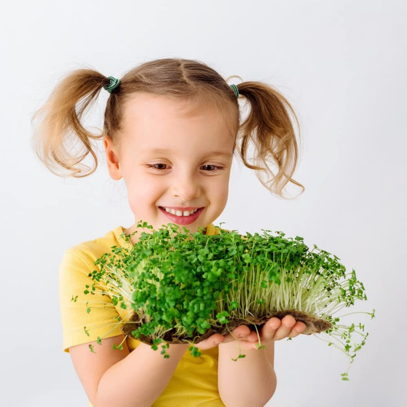 Microgreens Variety Pack (10 Varieties, 2 LBS+, Cabbage, Broccoli, Beet, Radish, gallery
