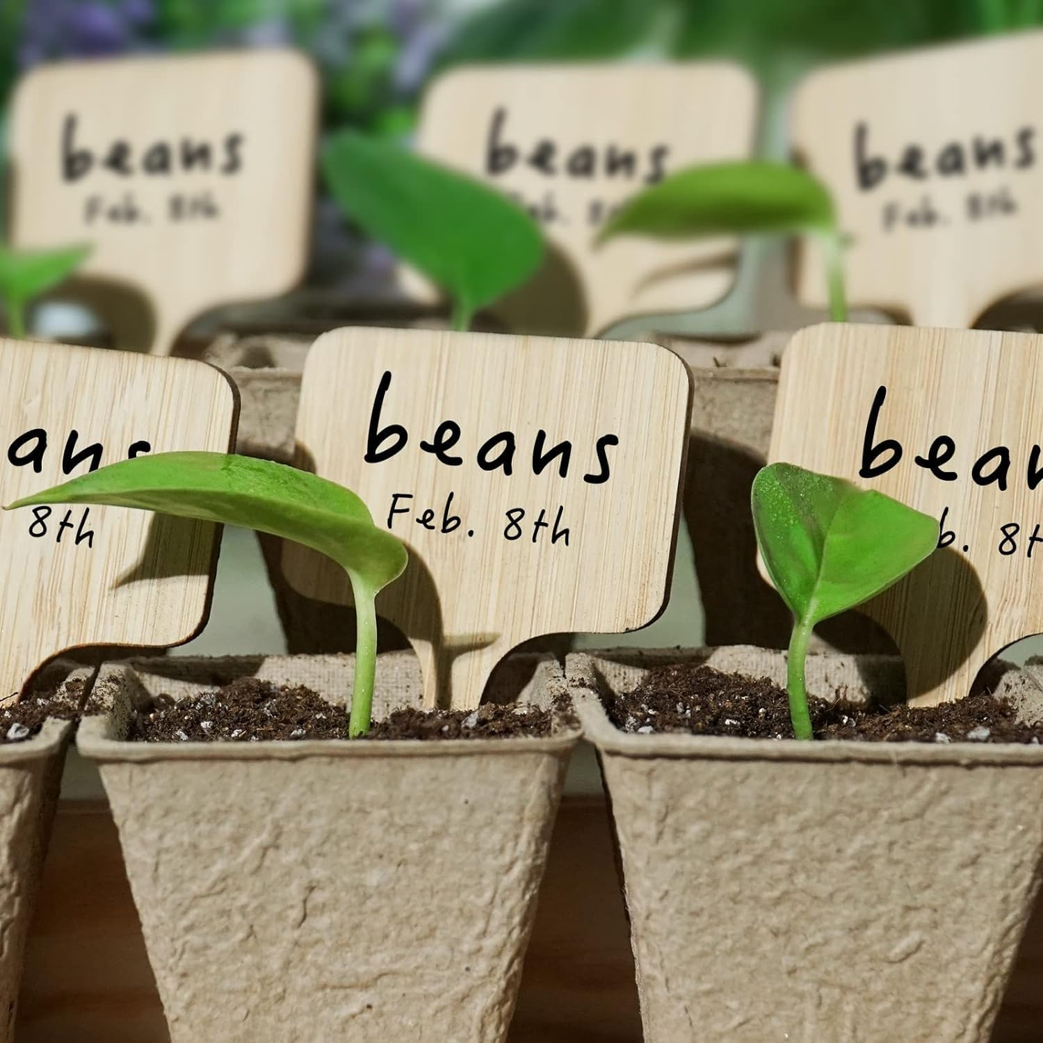 75 Pack Bamboo T-Type Plant Labels with A Marker Pen Garden Markers Sign Plant gallery