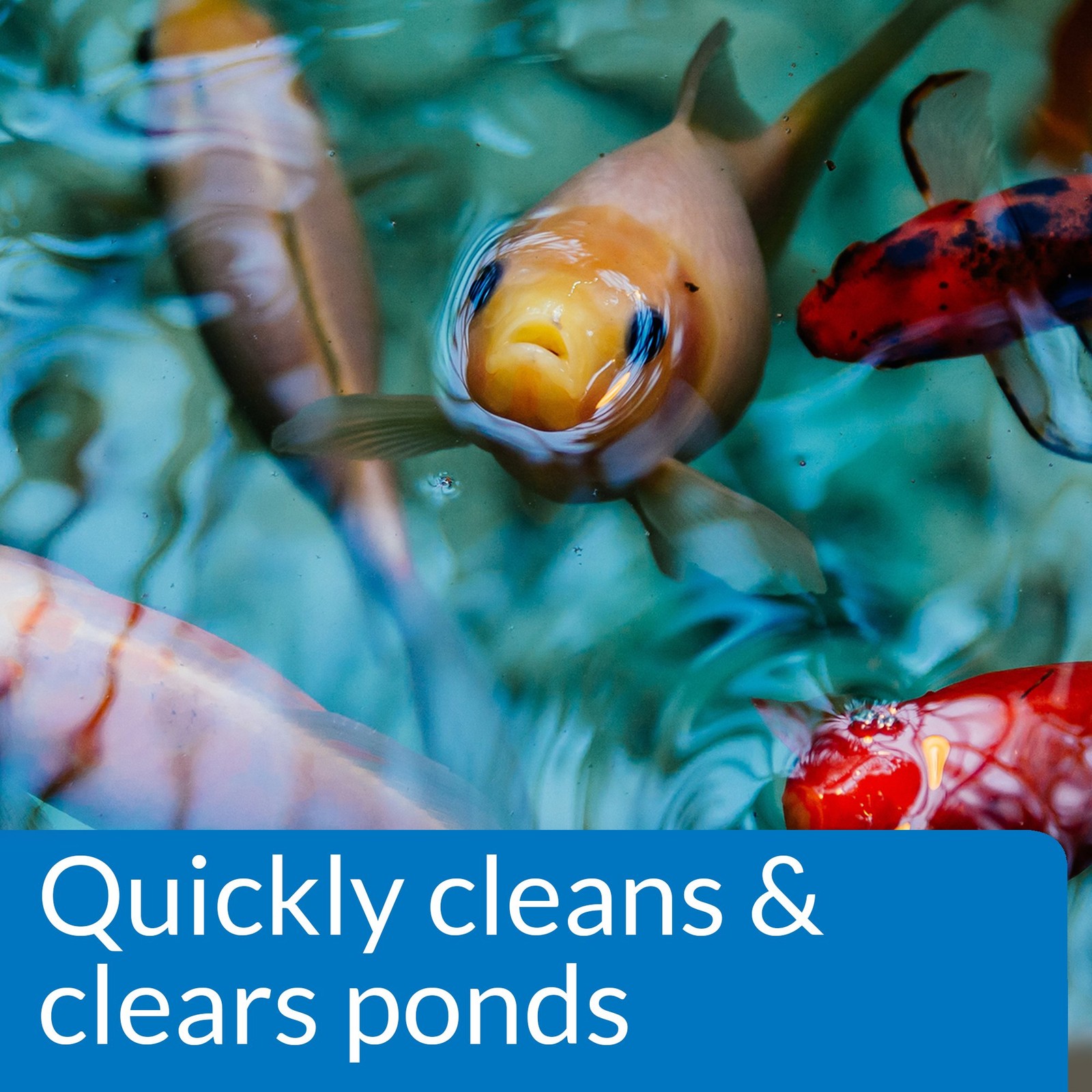 API POND SIMPLY CLEAR Pond Water Clarifier 16-Ounce Bottle 248B gallery