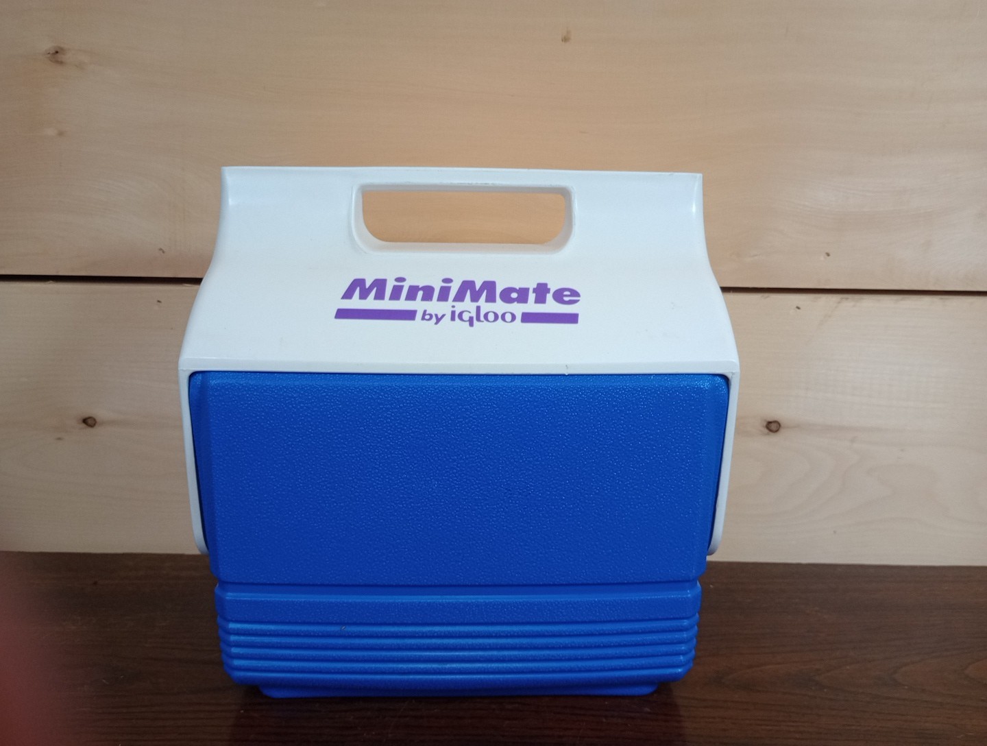 Vintage Igloo Mini Mate Small Lunchbox Cooler Yellow White Purple Teal gallery