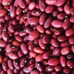 Hidatsa Red Bean