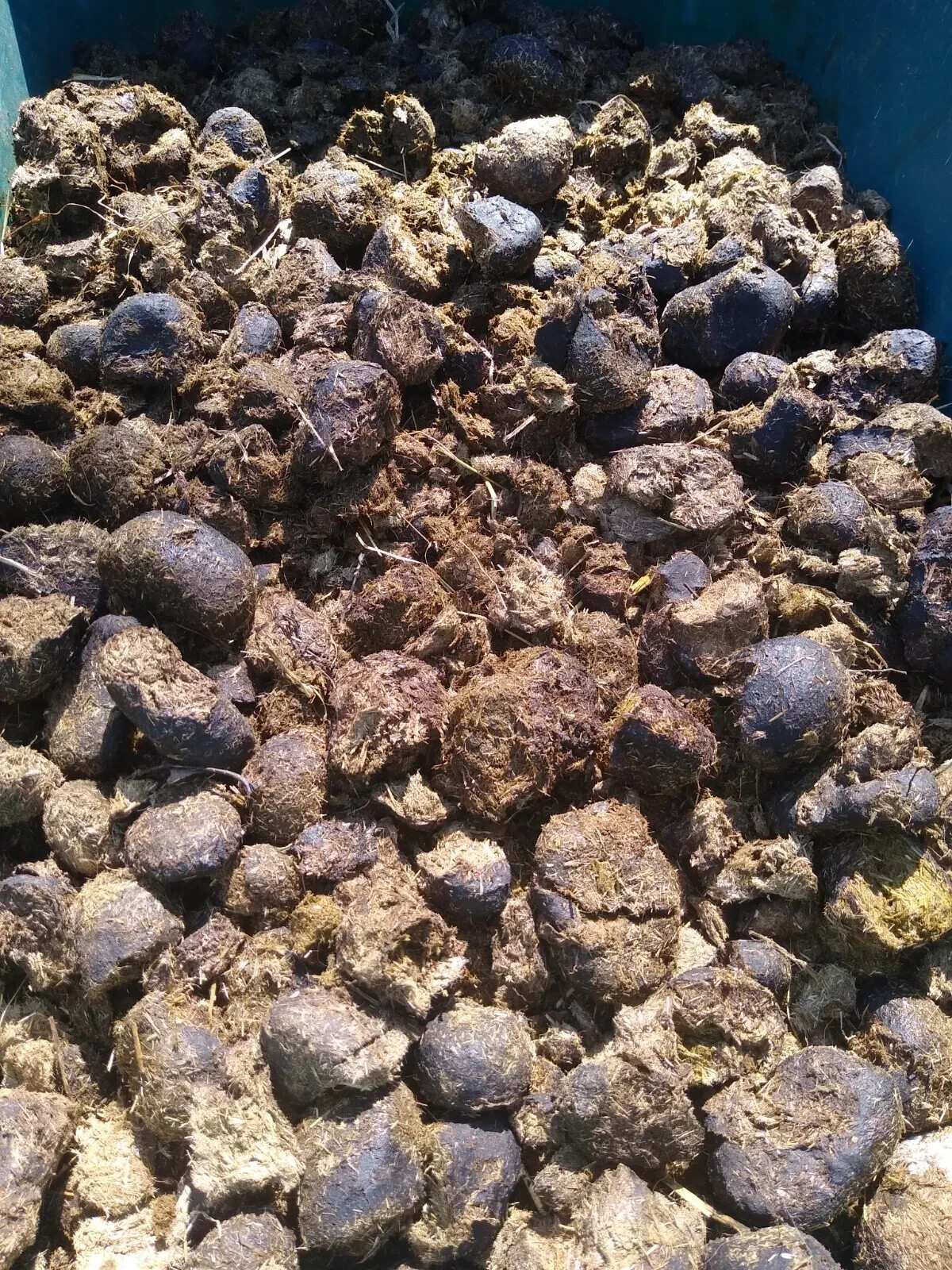 Fresh All Purpose Horse Manure - Organic Gardening Farming Fertilizer 10+ Pounds gallery
