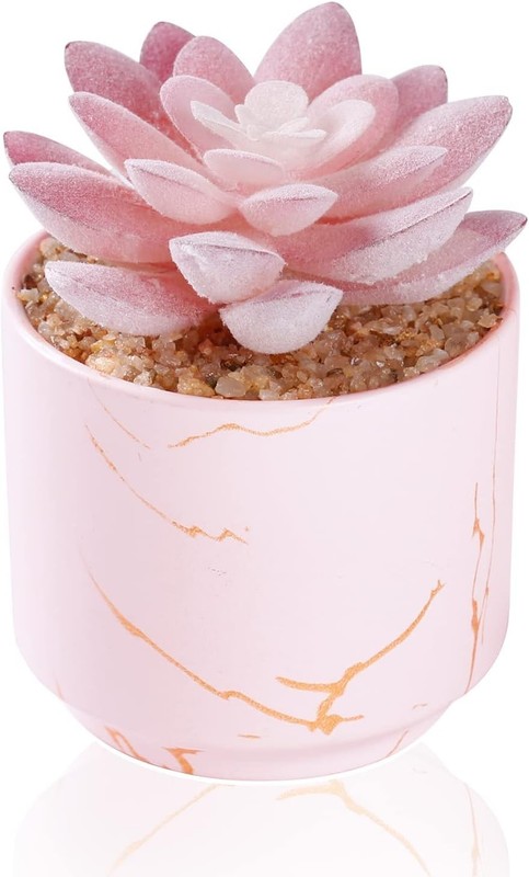 Charming Artificial Pink Succulent in Ceramic Pot - Cute Décor for All Rooms gallery