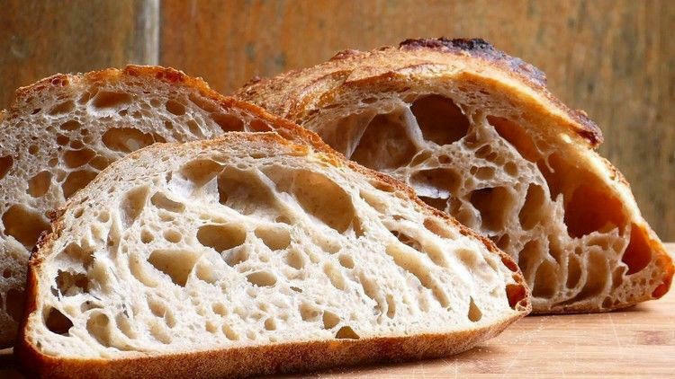 extremely sour and active sourdough starter yeast THE BEAST bonanza gallery