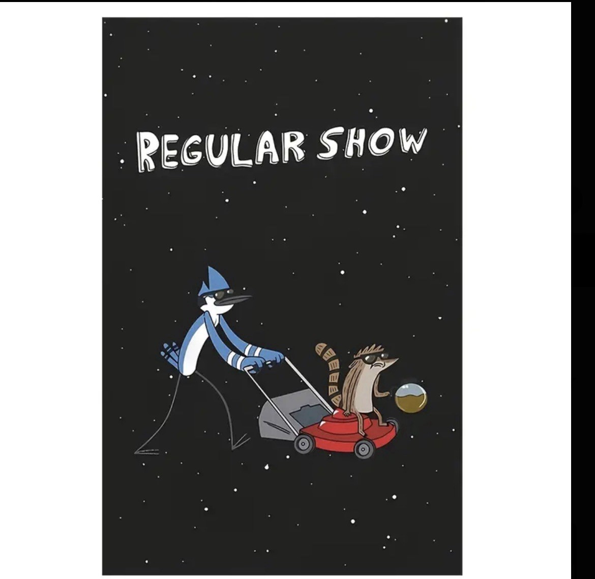Cartoon Network Tv Series Regular Mordecai And Rigby Canvas Poster 12x18 Inches! gallery