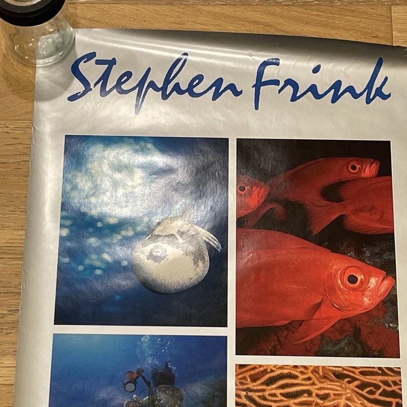 Signed Stephen Frink Underwater Nikon Photography Poster 1990 Vintage 36" x 24" gallery