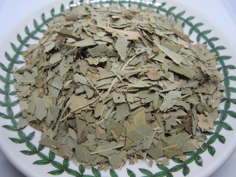 Eucalyptus Leaf - Loose Leaf Cut/Sifted by Nature Tea , Wild Crafted gallery
