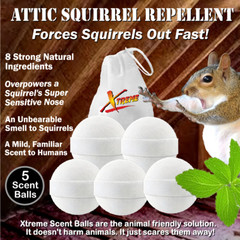 Xtreme Attic Squirrel Repellent. Drives Squirrels Out Fast! 5 PCS
