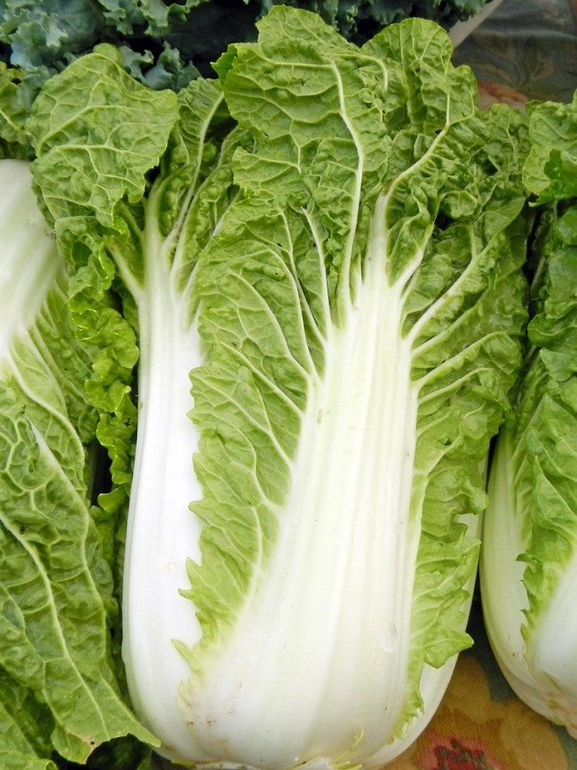 Michihili, Chinese Cabbage Seeds, NON-GMO, Variety Sizes, FREE SHIPPING gallery