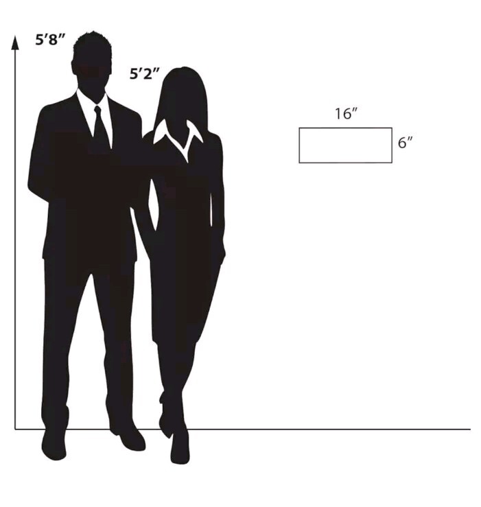 Azar Displays Adhesive Wall Sign Holder Picture Frame 16" W x 6" H, 10-Pack gallery