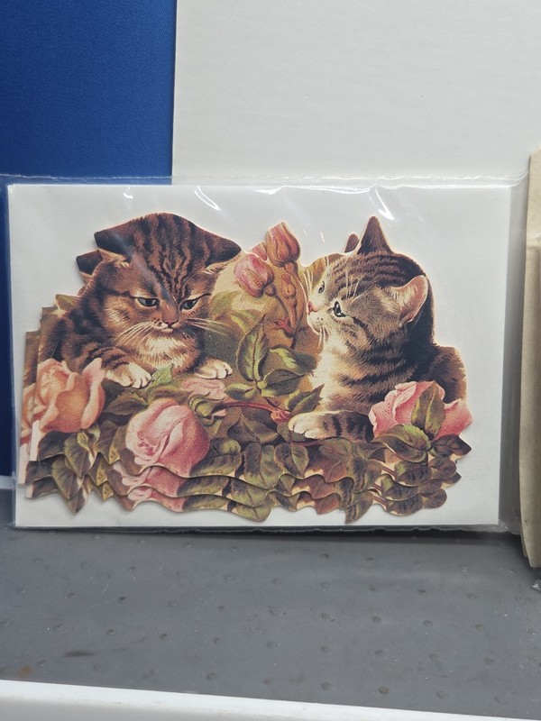 Kittens Playing Flowers Invitations Die Cut 2 Packs Old Print Factory 12 Cards gallery