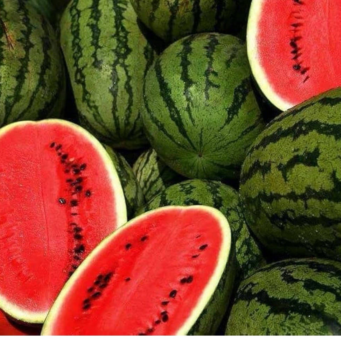 Jubilee Improved Watermelon 25+ Seeds | Heirloom / Non-GMO | Free S&H gallery