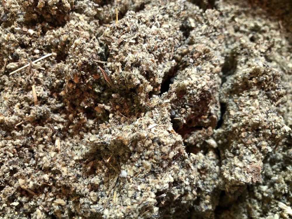 Mullein Leaf wild crafted Lung cut herb - oz lb 1 2 4 5 8 Pound Ounce