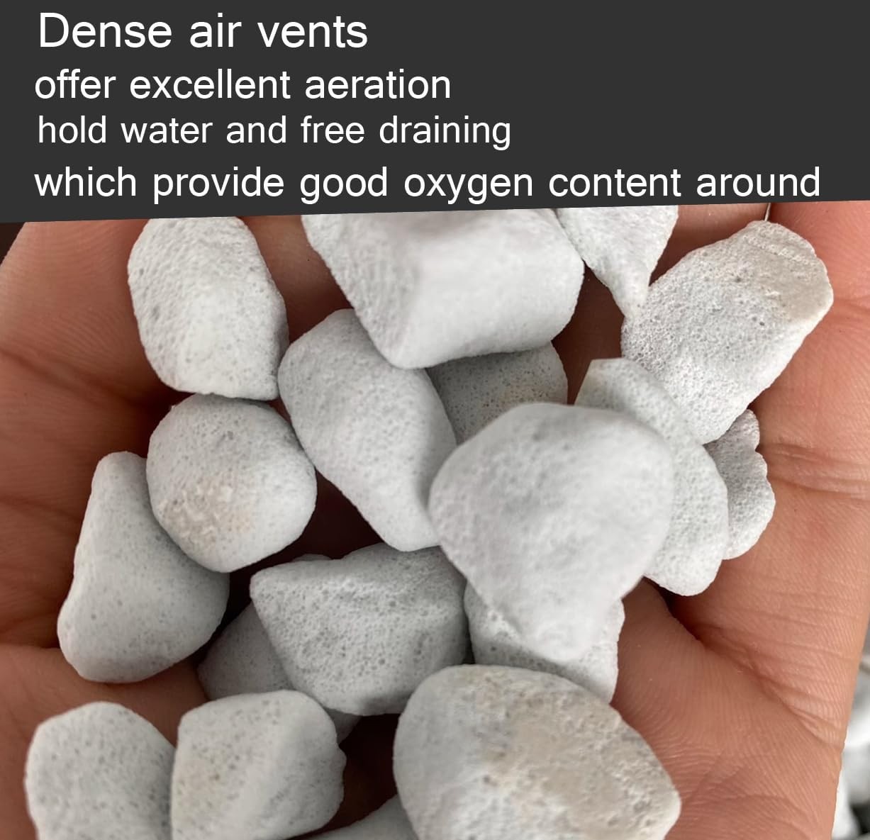 10QT Organic Perlite Horticultural Soil Amendment for Plants & Drainage gallery