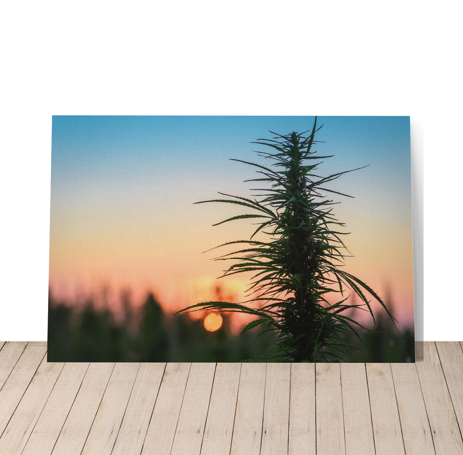 SMOKE WEED WALL ART Marijuana Leaf Plant Weed Get High Canvas Print Home Decor gallery