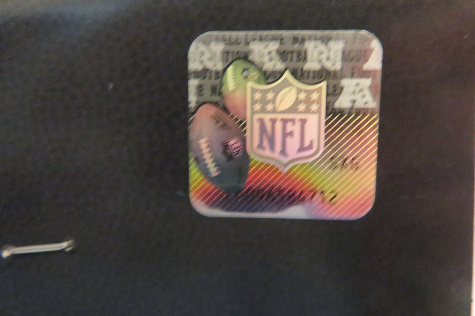 Carolina Panthers, NFL, Professional Football Team, Garden Flag 2-sided gallery