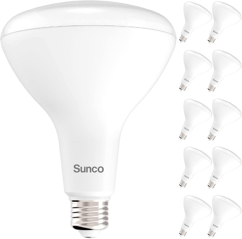 Daylight White BR40 Bulbs - 10 Pack gallery