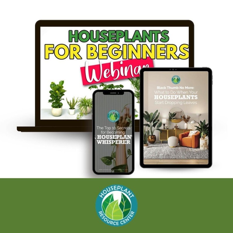Propagation Promoter gallery