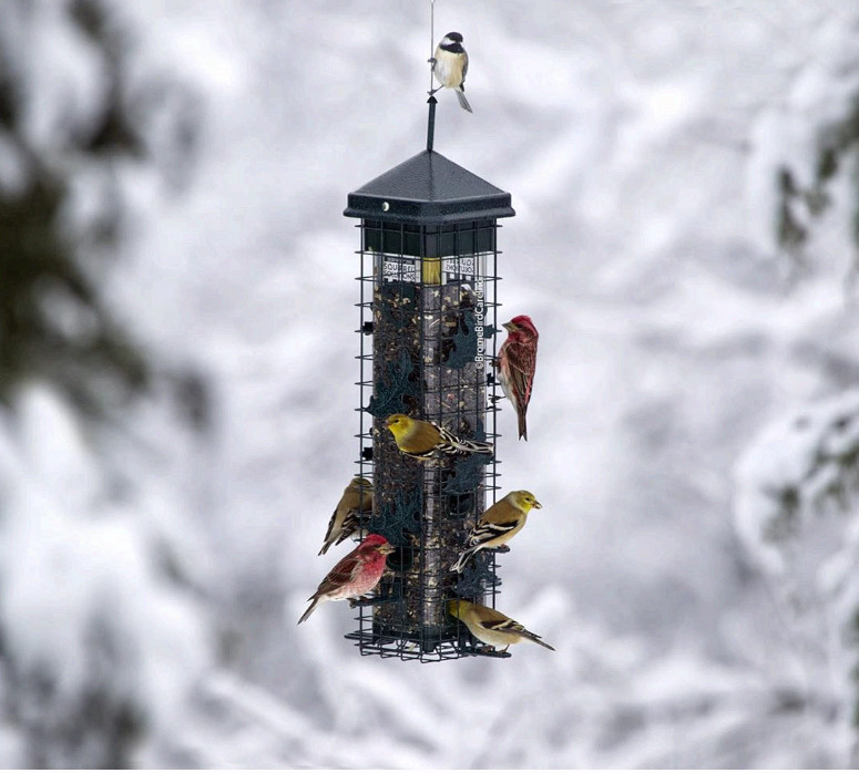 Squirrel Solution200 Squirrel-proof Bird Feeder w/6 Feeding Ports, 3.4-pound gallery